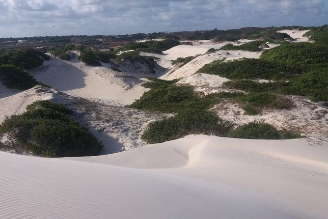 buggy-tour-along-the-north-coast-genipabu