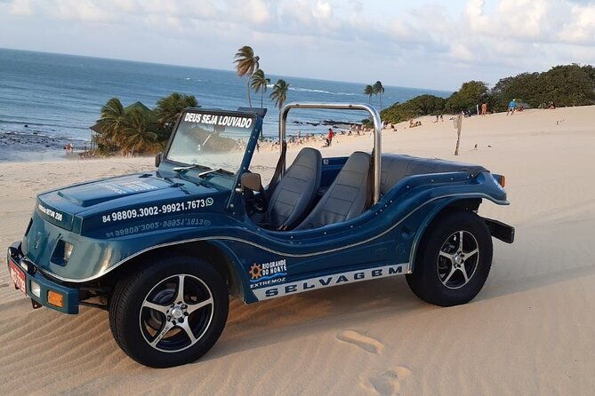 buggy-tour-genipabu-dunes-rn