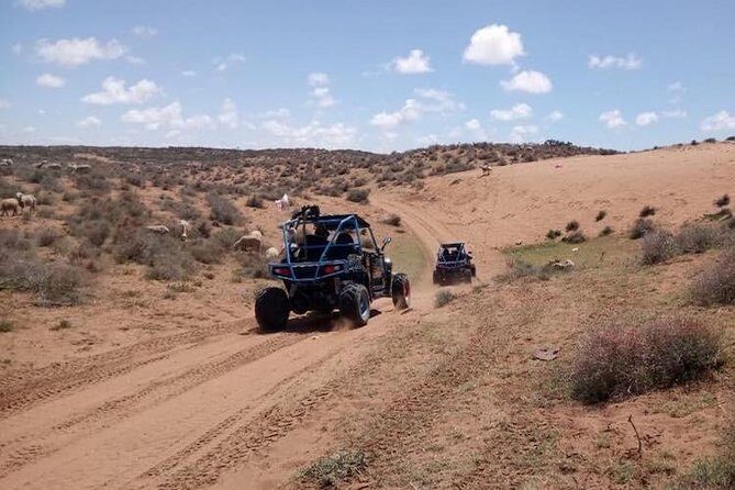 Buggy Tour In Agadir - The Return Journey and Group Size