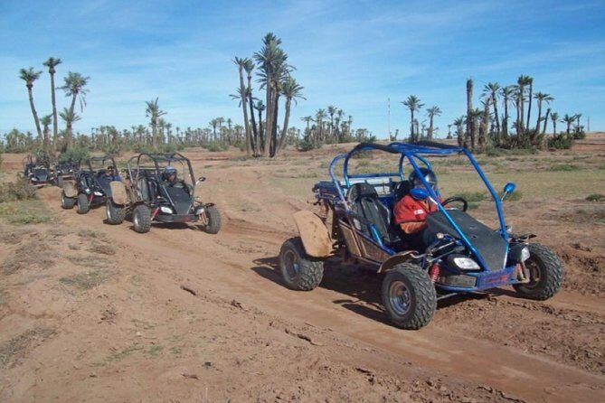 Buggy Tour in Marrakech Palm Grove - Who Should Consider This Tour?