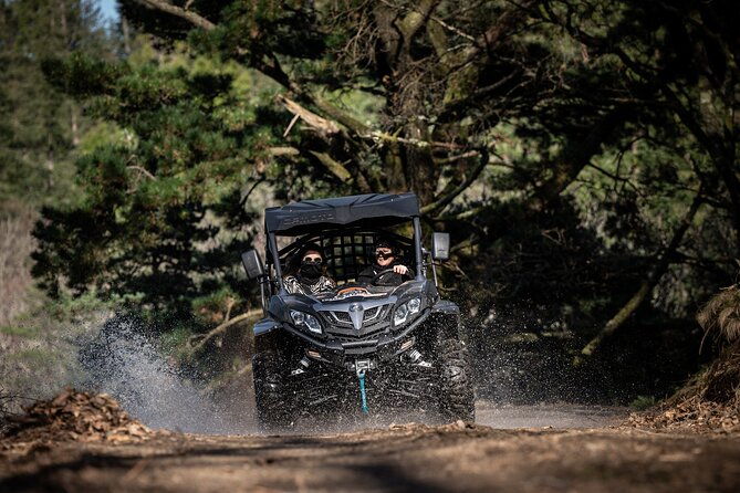 buggy-tour-in-serra-da-lousa-2-hours