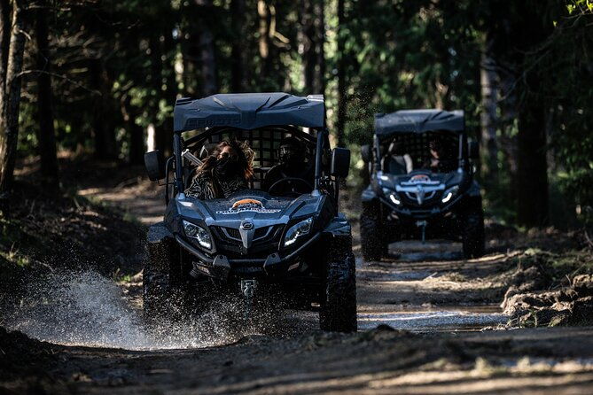 buggy-tour-in-serra-da-lousa-2-hours