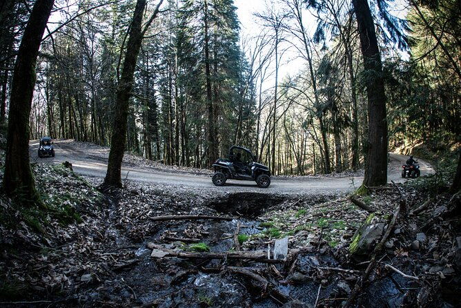 buggy-tour-in-serra-da-lousa-2-hours