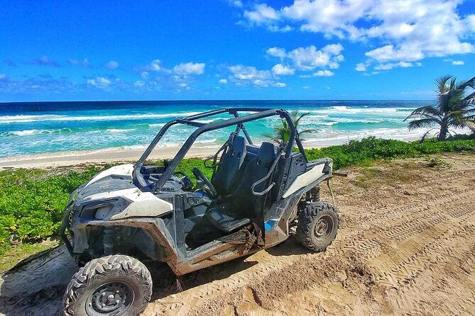 buggy-tour-to-playa-macao-and-cenote