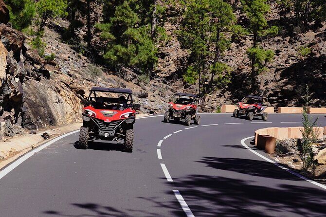 Buggy tour to Teide in Tenerife - An In-Depth Look at the Tenerife Buggy Tour Experience
