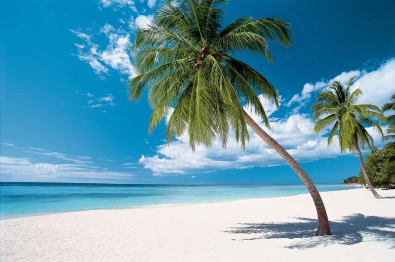 Buggy Tour with Lunch, Kaefunk Beach, Dinner at The Rock - Who Should Consider This Tour