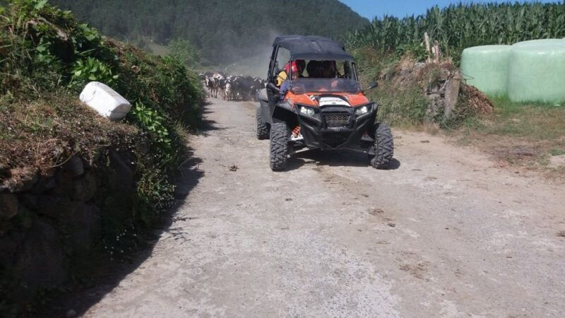 buggyquadjeep-coast-to-coast-tour-ribeira-grande-off-4x4
