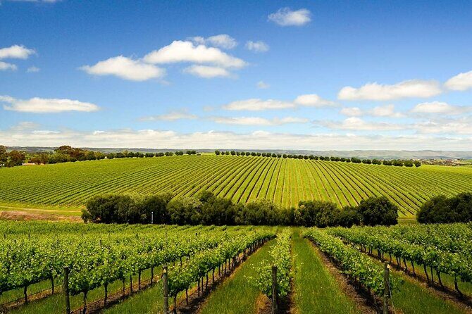 Build your own Unique Private Winery/Brewery Tour at the Margaret River region - An Honest Look at the Build-Your-Own Private Winery & Brewery Tour in Margaret River