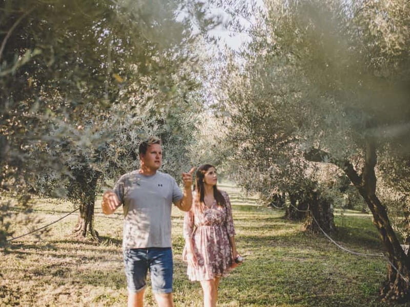 Buje: Istrian Family Farm with Walking Tour, Food, and Wine - Discover Istria with a Family-Led Farm Experience