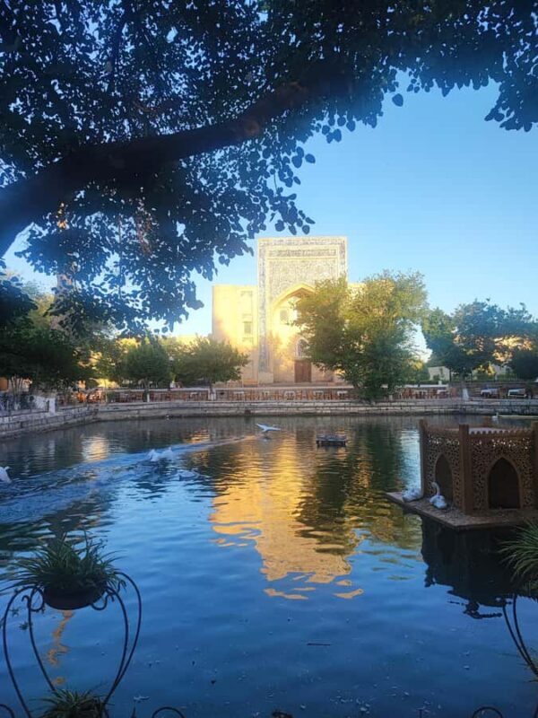 Bukhara: City Walking Tour with Poi Kalon Complex - Key Points