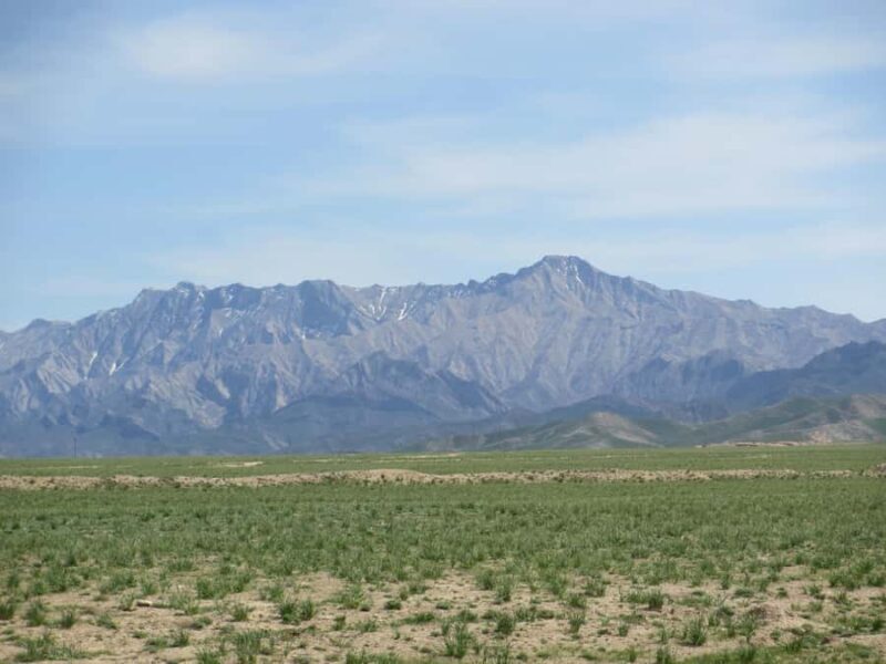 Bukhara/Samarkand: Nurata, Aydarkul Lake & Desert Day Trip - Who Is This Tour Best For?