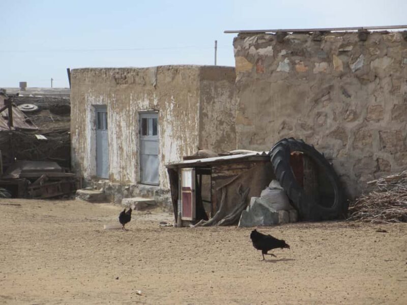 Bukhara/Samarkand: Nurata, Aydarkul Lake & Desert Day Trip - The Sum Up