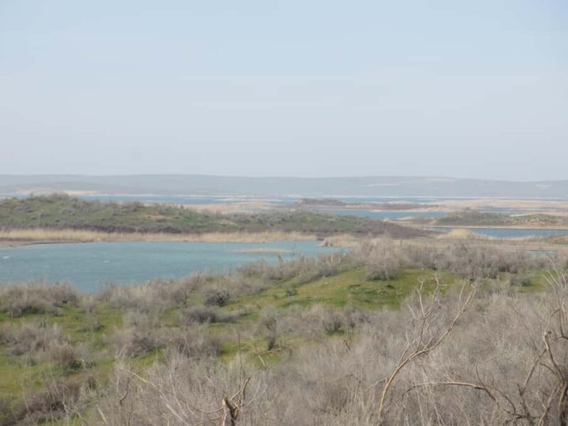 Bukhara/Samarkand: Nurata, Aydarkul Lake & Desert Day Trip - FAQ