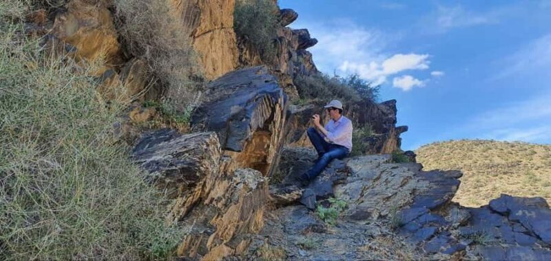 Bukhara: Sarmish-Soy Gorge Petroglyphs Day Trip - A Closer Look at the Tour Experience