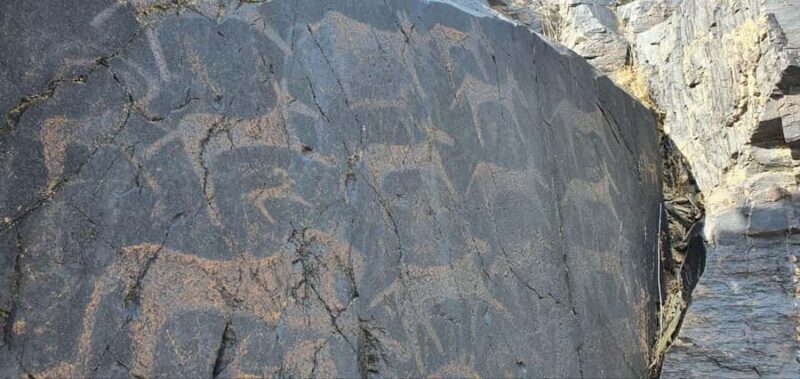 Bukhara: Sarmish-Soy Gorge Petroglyphs Day Trip - Is This Tour Worth It?