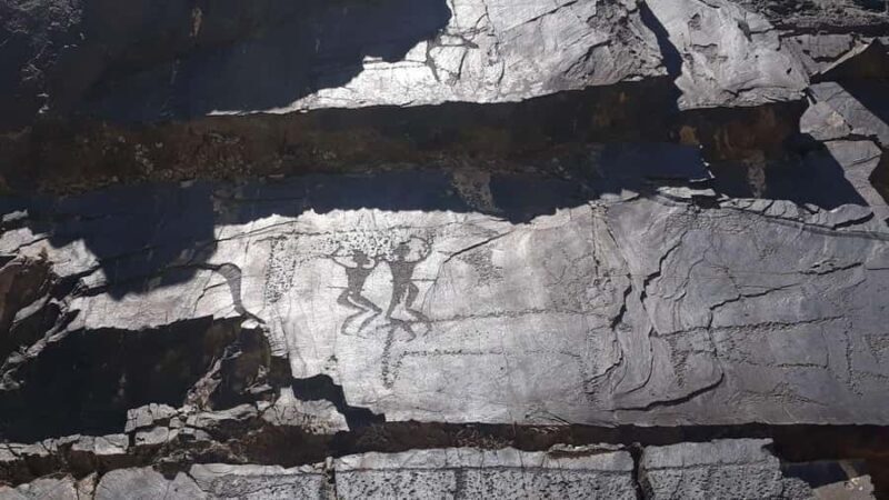 Bukhara: Sarmish-Soy Gorge Petroglyphs Day Trip - Who Should Do This Tour?