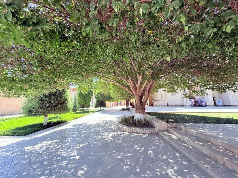 Bukhara: Summer Palace and City Outside Tour with Car - Frequently Asked Questions