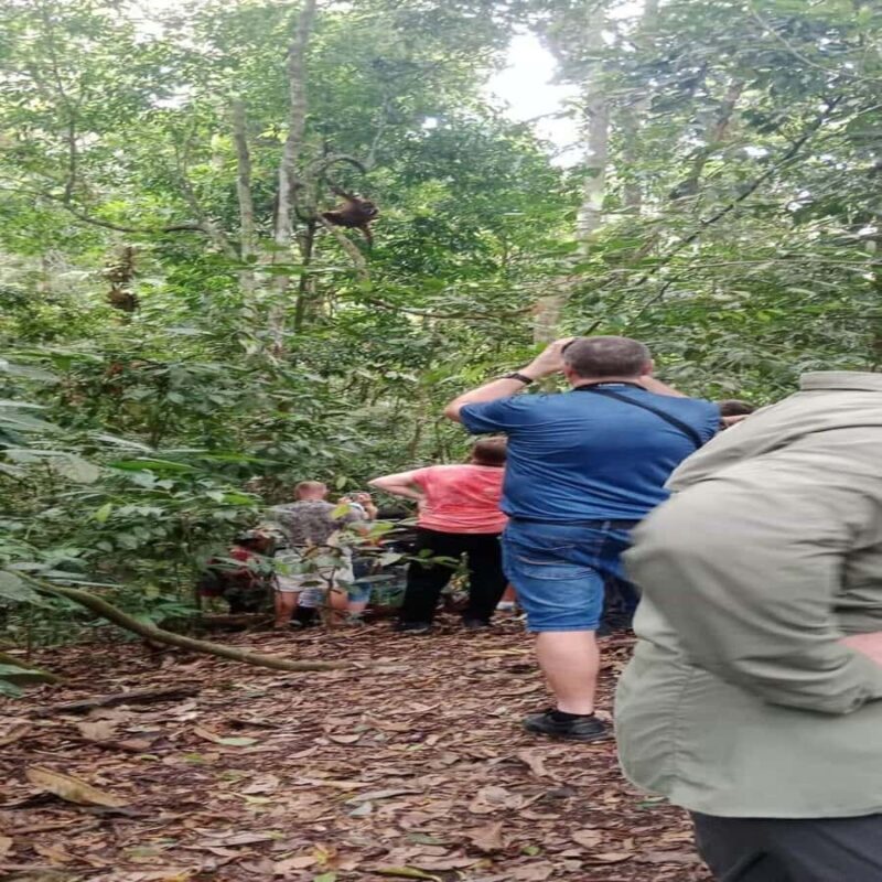 Bukit Lawang: 6-Day Wonderful Jungle Trek & Retreat - Practical Details: What You Need to Know