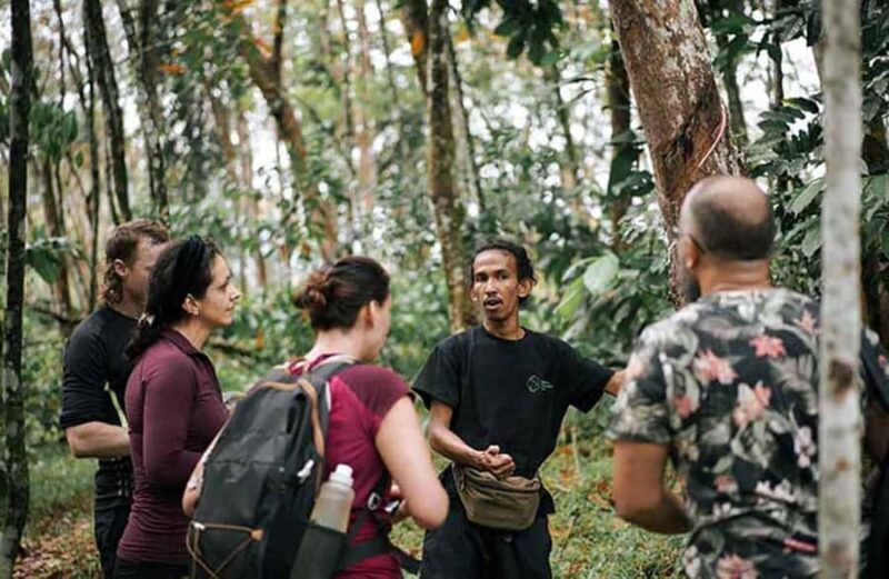 Bukit Lawang: Eco-Friendly Jungle Trek with Orangutans - An Introduction to the Bukit Lawang Jungle Trek