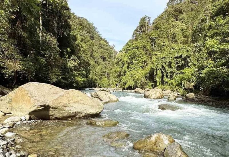 Bukit Lawang: Half Day Ethical Jungle And Eco Friendly Trek - A Deep Dive Into the Experience