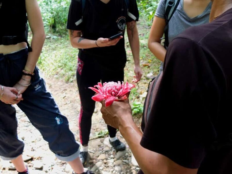Bukit Lawang: Jungle Cooking Adventure with Local Guide - FAQ