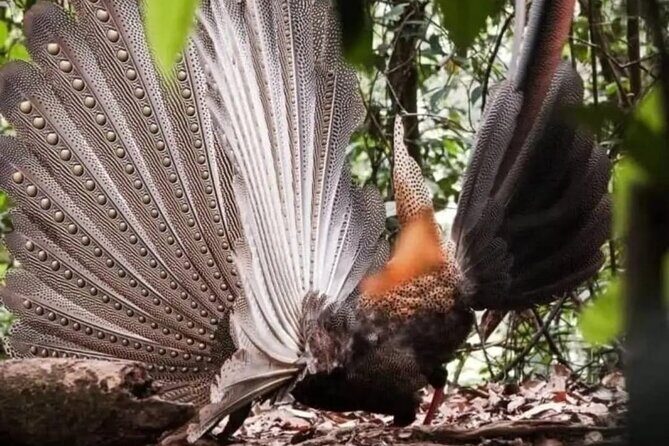 Bukit Lawang Jungle Trek Sumatran Safari - The Comfort of Your Stay & Practical Details