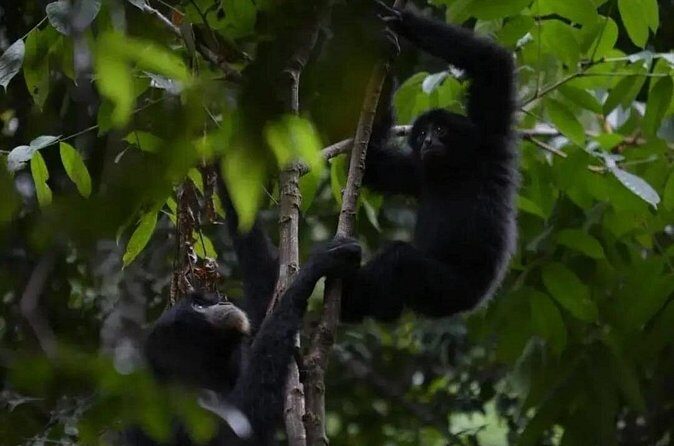 Bukit Lawang Jungle Trek Sumatran Safari - Final Thoughts