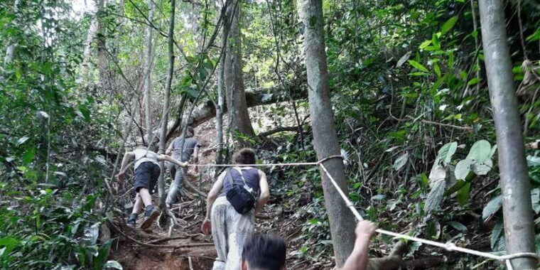 bukit-lawang-jungle-trekking-and-rafting-day-trip