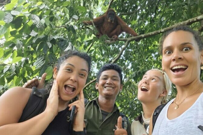 Bukit lawang | Orangutan trekking and Art Class Excursion (2D1N) - FAQ