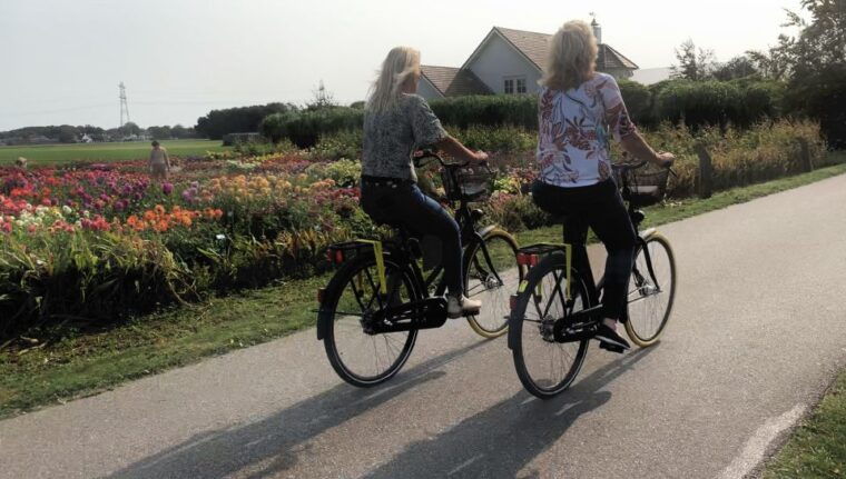 bulb-region-dahlias-bicycle-tour