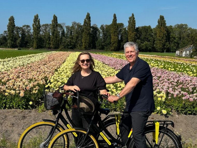 bulb-region-dahlias-bicycle-tour