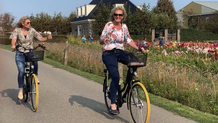 bulb-region-dahlias-bicycle-tour