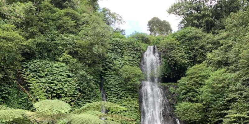 buleleng-hidden-gems-waterfall-tour