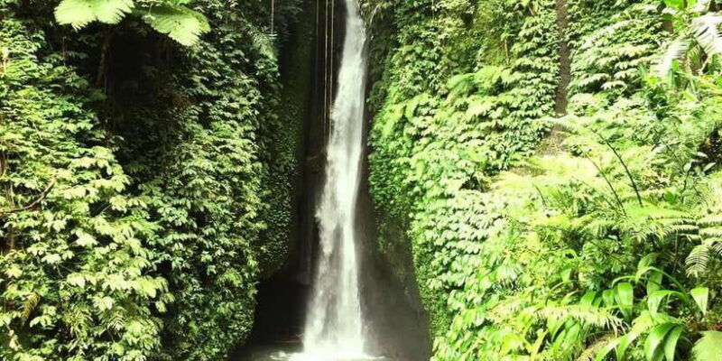 buleleng-hidden-gems-waterfall-tour