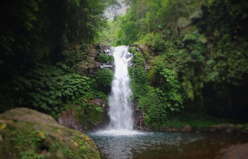 buleleng-hidden-gems-waterfall-tour