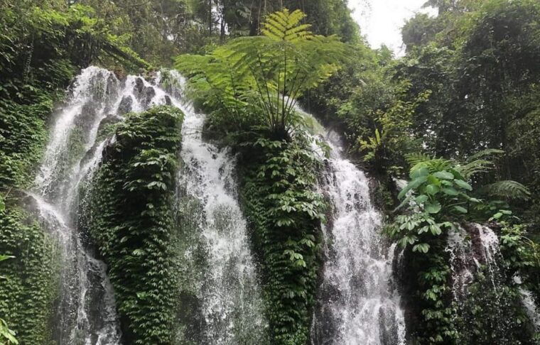 buleleng-hidden-gems-waterfall-tour