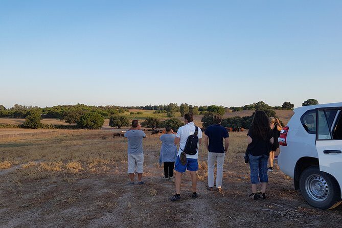 Bull Breeding Farm: Guided Half-Day Tour from Seville - Price and Value Analysis