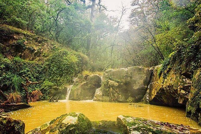 Bulla Regia and Beni Mtir Cascade Daytrip from Tunis - Transportation and Logistics: Comfort and Convenience
