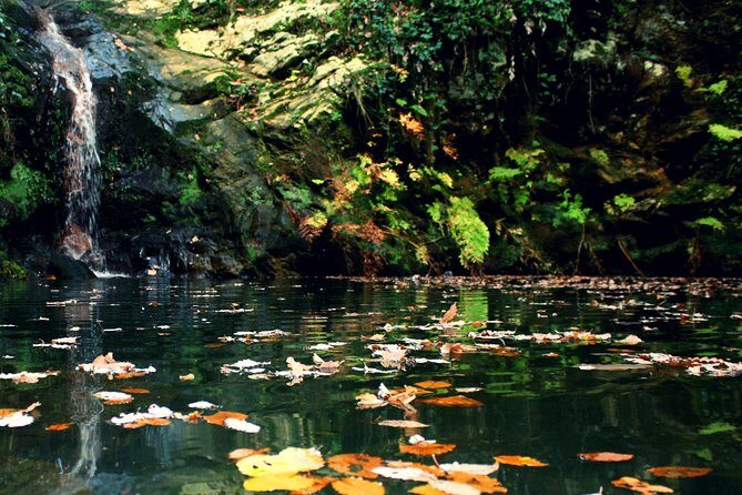 Bulla Regia and Beni Mtir Cascade Daytrip from Tunis - Who Should Consider This Tour?
