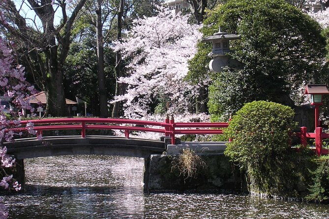 bullet-train-experience-mishima-shrine-private-tour-from-tokyo