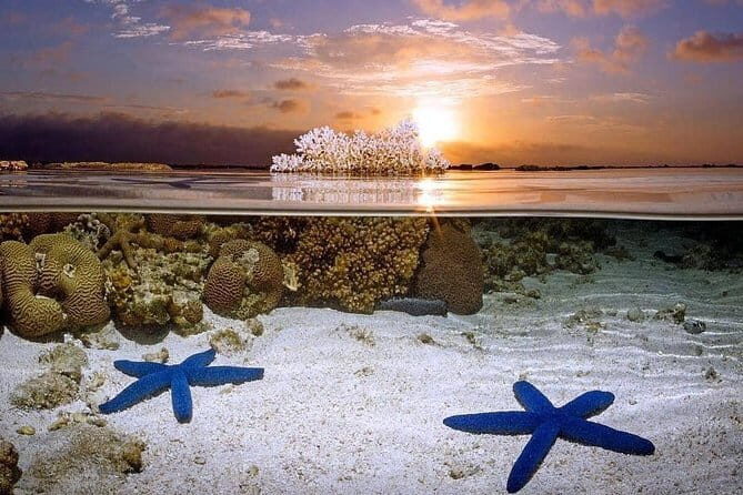 Bunaken Island three-point snorkeling includes lunch and shuttle - Introduction