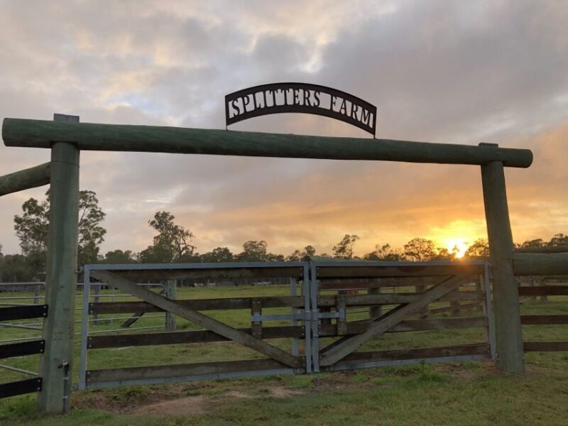 Bundaberg: Family-Friendly Entry Ticket to Splitters Farm - Who Should Consider This Tour?  