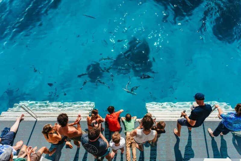 Bundaberg: Lady Musgrave Island and Great Barrier Reef Tour - The Itinerary and What to Expect