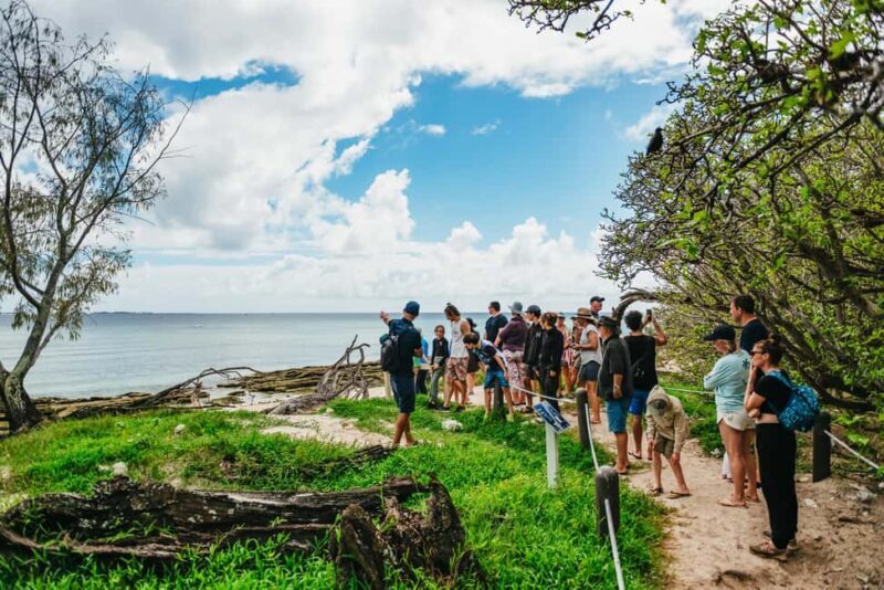 Bundaberg: Lady Musgrave Island and Great Barrier Reef Tour - Areas for Consideration
