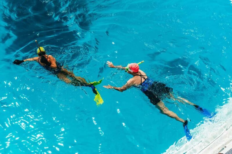 Bundaberg: Lady Musgrave Island and Great Barrier Reef Tour - Is This Tour Worth the Price?