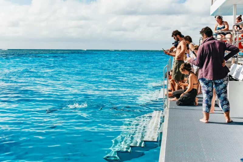 Bundaberg: Lady Musgrave Island and Great Barrier Reef Tour - Frequently Asked Questions