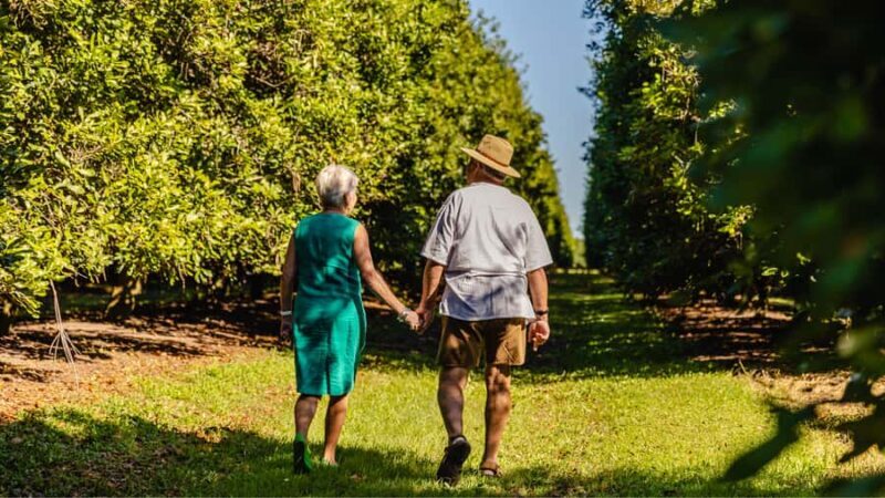 Bundaberg: Macadamia Orchard Tour - Key Points