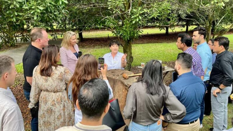 Bundaberg: Macadamia Orchard Tour - Practical Aspects and Value