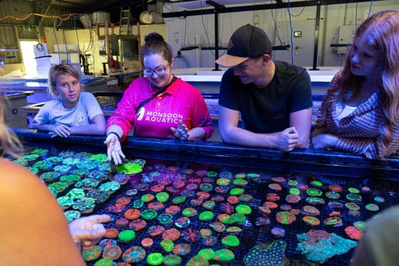 Bundaberg: Monsoon Aquatics Coral Farm Guided Tour - Introduction to the Coral Farm Tour