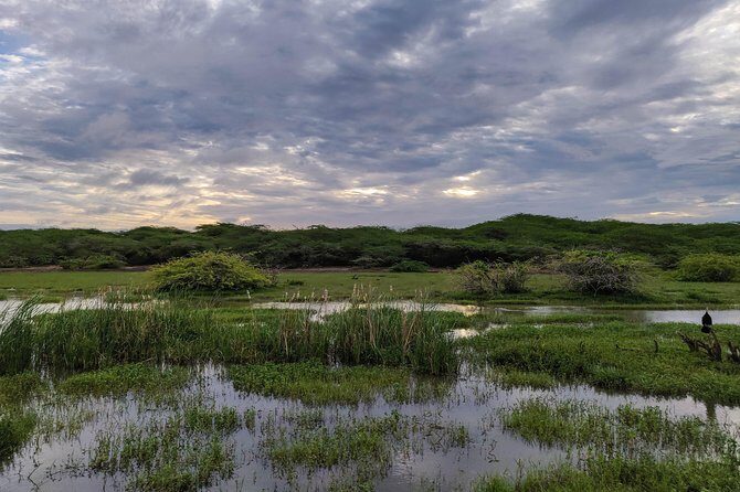 Bundala National Park Private Safari - Frequently Asked Questions